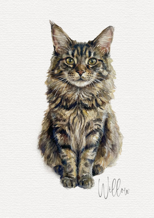 Cat Custom Watercolour Painting Portrait | Personalised Pet Portrait | Pet Illustration | Cat Lover Gift | Pencil Outline Digital Painted